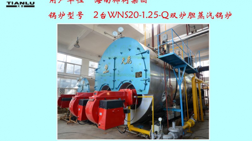 椰樹集團(tuán)2臺WNS20-1.25-Q雙爐膽蒸汽鍋爐